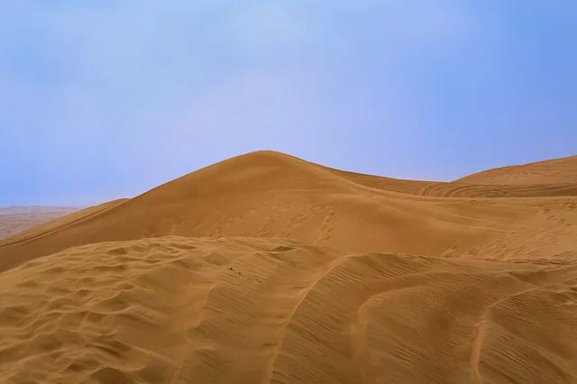 Sand dunes in the Dubai desert in 2023
